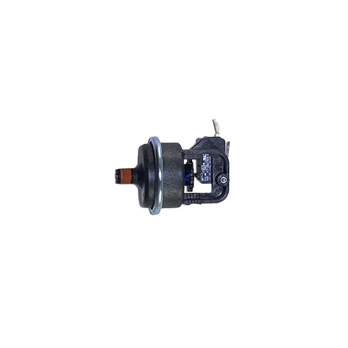 Pentair 42001-0060S Water Pressure Switch